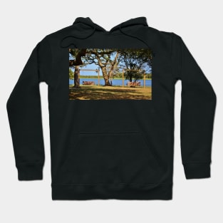 Two Wooden Swings Hoodie